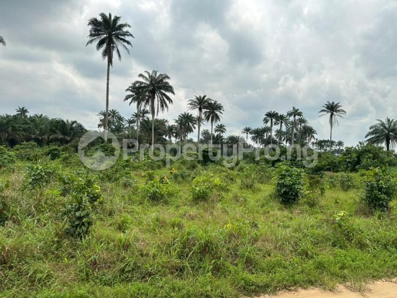 Land in Uyo Akwa Ibom | Land for sale in uyo