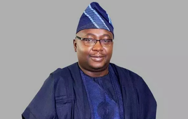 I never intend to insult sensibilities of Nigerians, Adelabu apologises