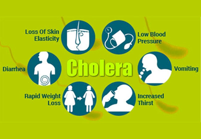 WHO announces plan to rollout cholera rapid diagnostic tests globally