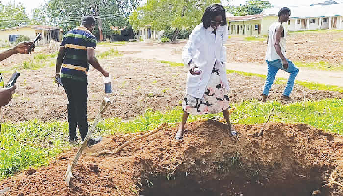 How Kwara saved residents from consuming poisonous beef