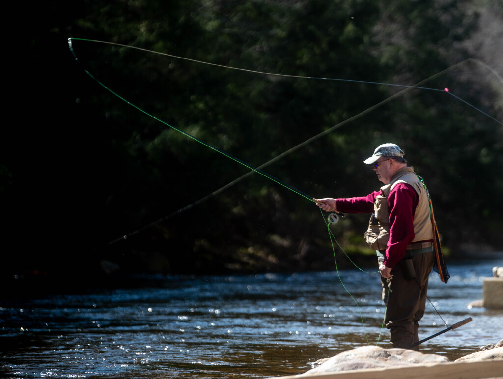 Officials warn dog owners of salmon poisoning disease