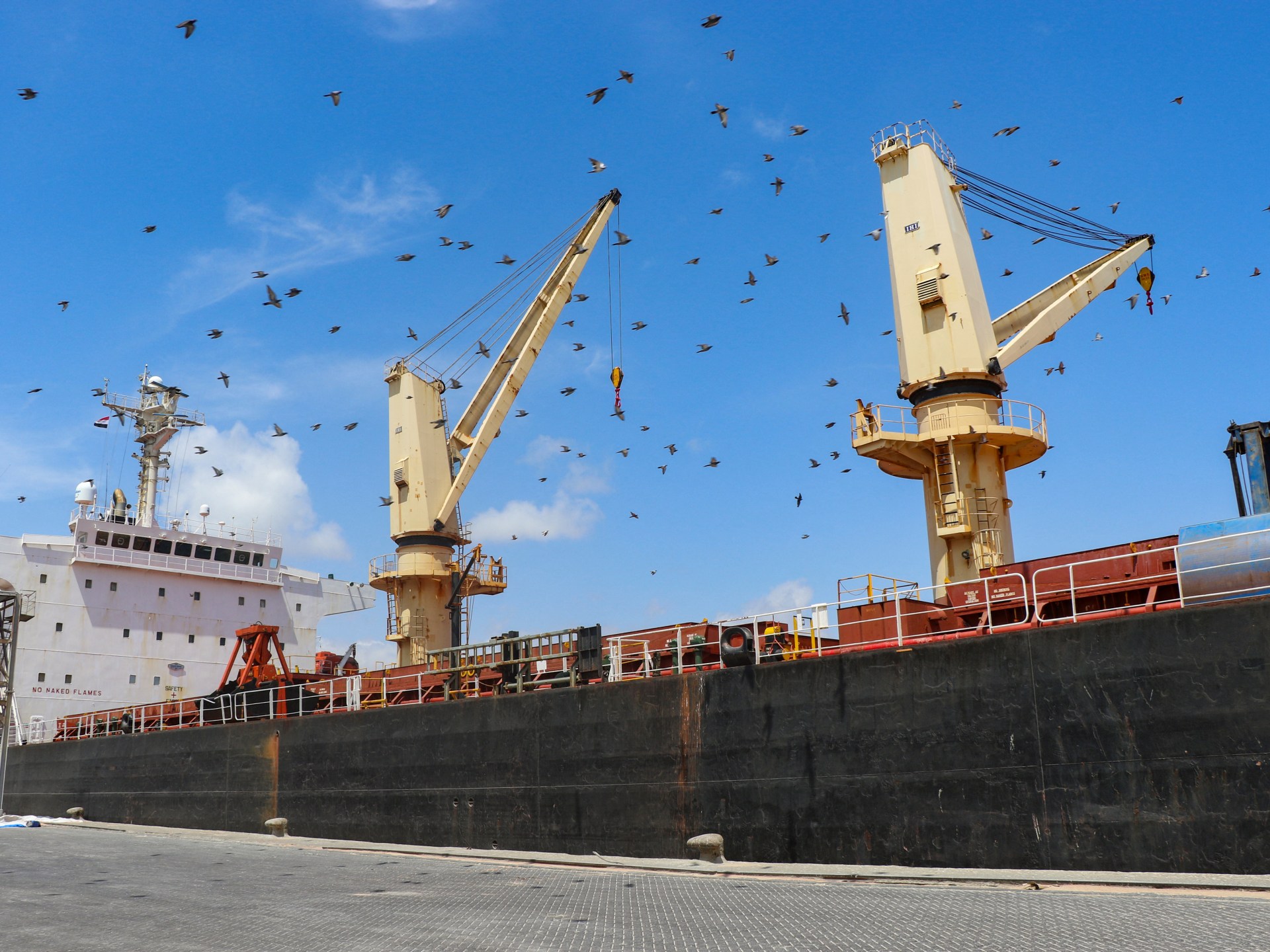 Seafarers pay the price for the murky business of ship nationality