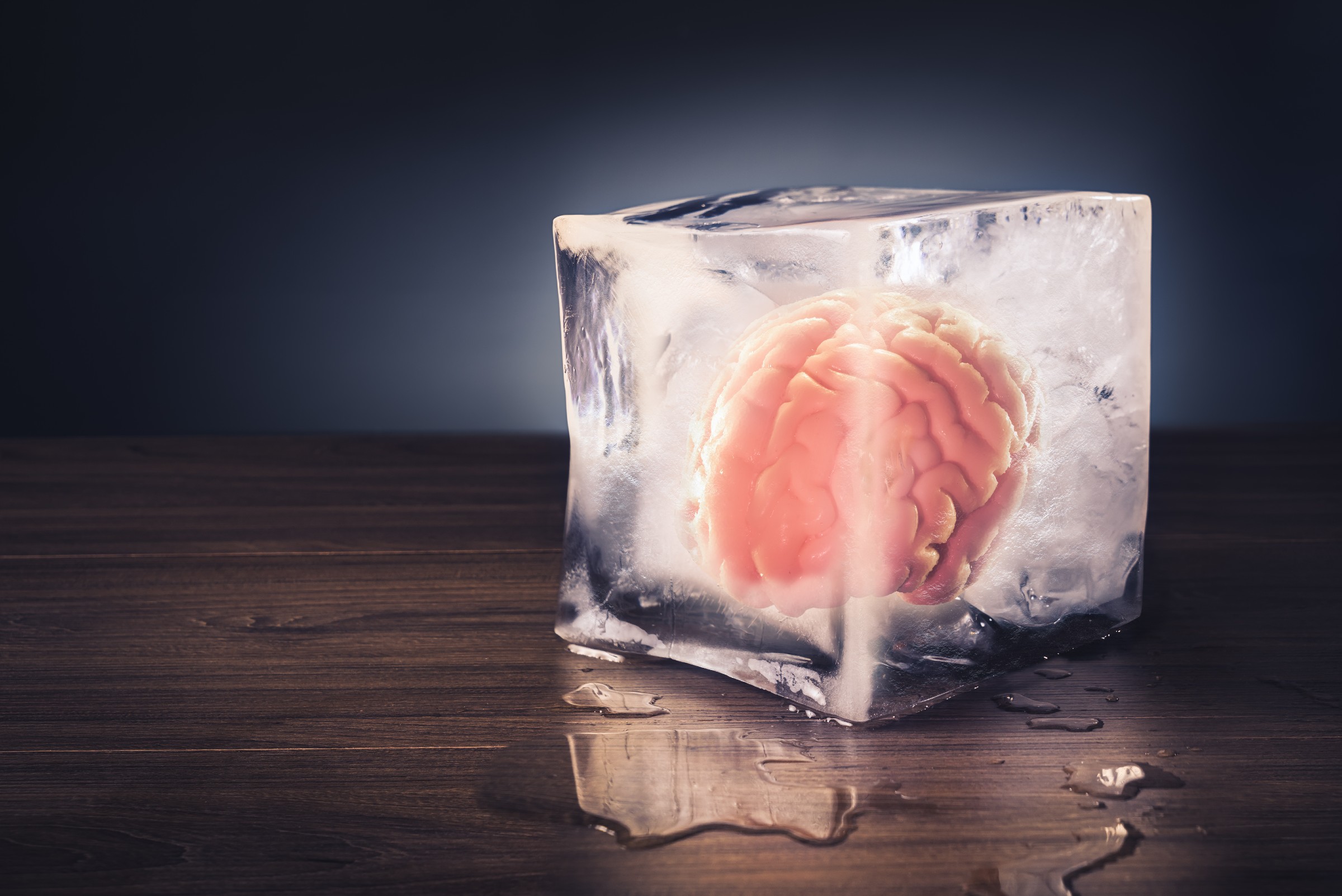 Frozen Human Brain Tissue Successfully Revived For The First Time