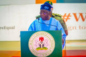 Expert scores Tinubu 70% on security – Blueprint Newspapers Limited