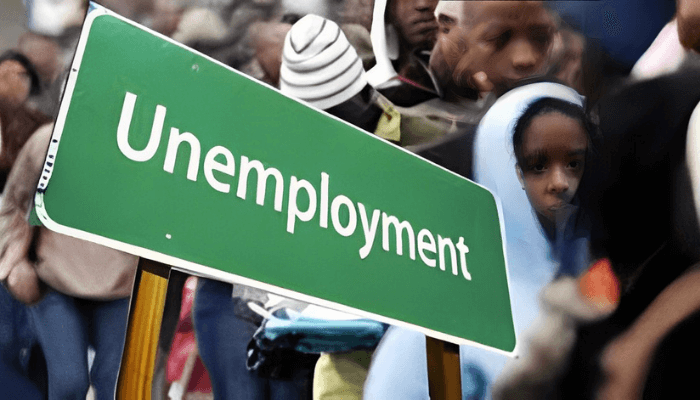 Digital transformation: A pathway to address Nigeria’s unemployment crisis