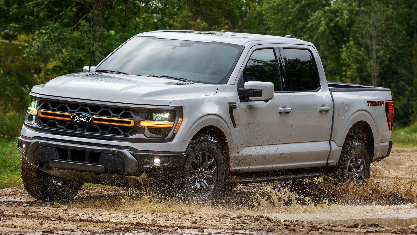 Common Problems That Can Happen With The Ford F-150 (According To Owners)