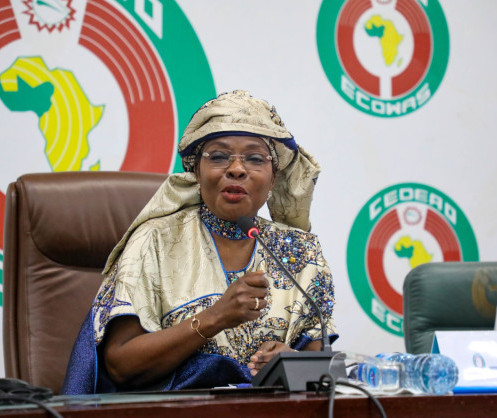 ‘Sexual orientation’ a political manipulation of West – ECOWAS Commissioner