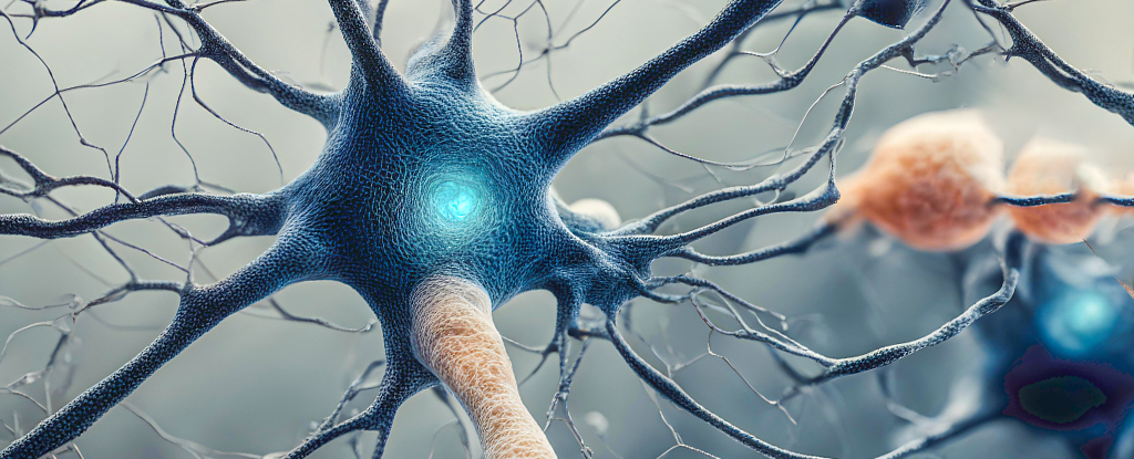 Newly Identified Proteins May Explain Devastating Effects of Alzheimer’s : ScienceAlert