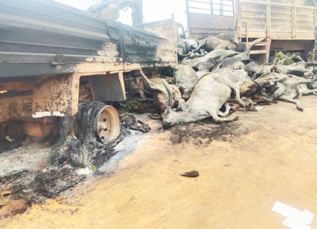 48 people, 50 cows killed in Niger road accident