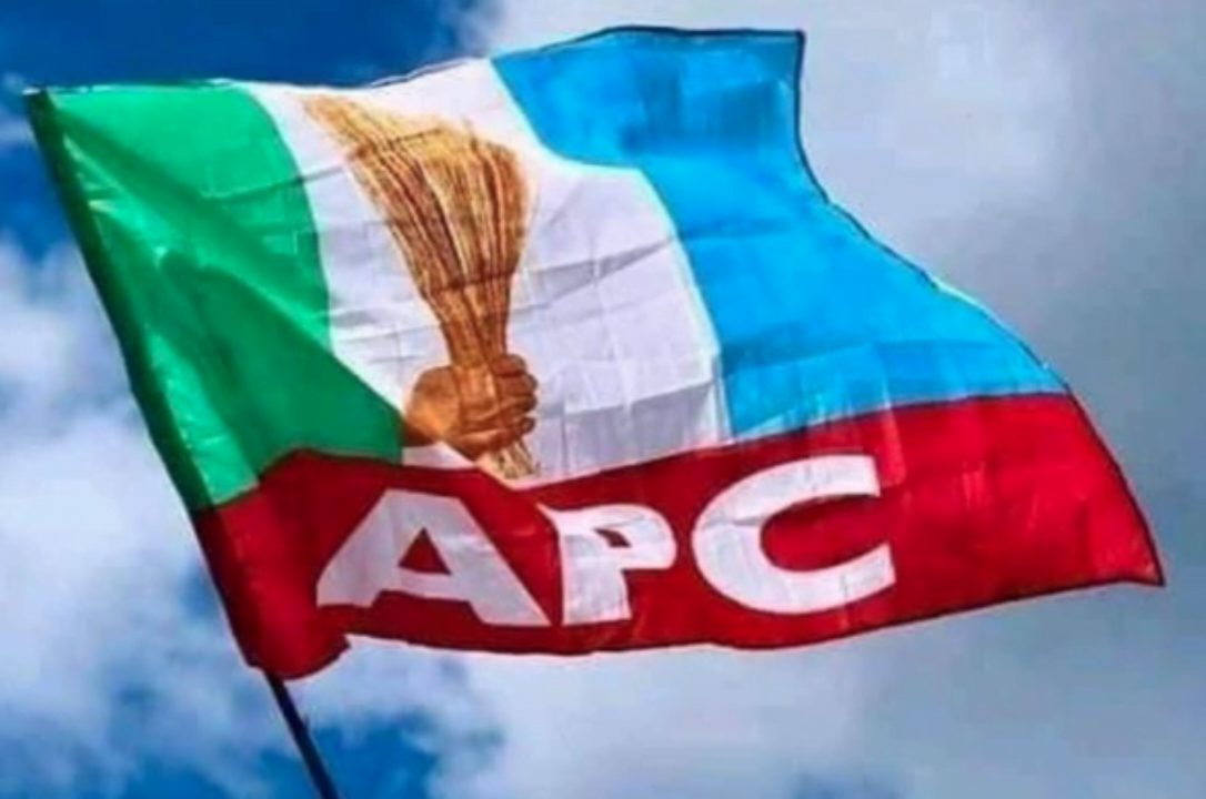 APC sweeps Kebbi LG polls