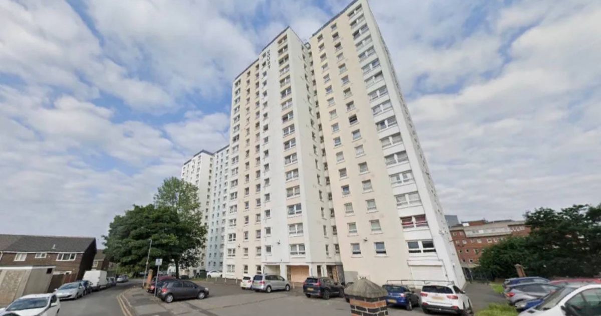 Pregnant woman falls 17 storeys to her death from tower block as newborn baby fights for life