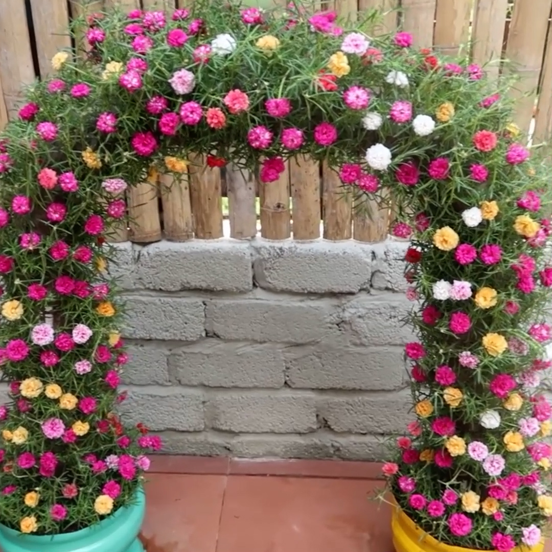 This Flower Gate Is A Truly Exquisite Masterpiece! [Video]