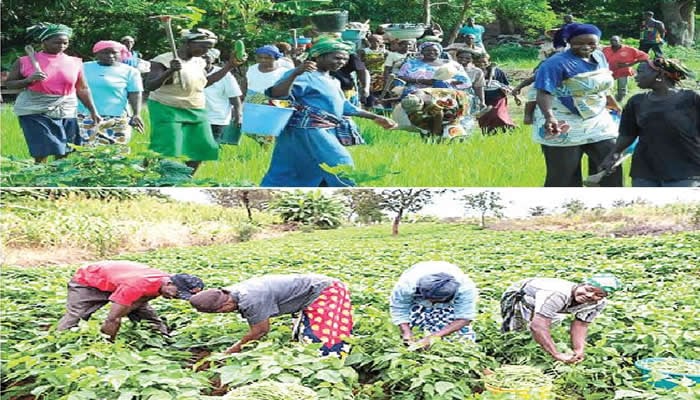 Climate change, financial exclusion leave women farmers in battle for survival