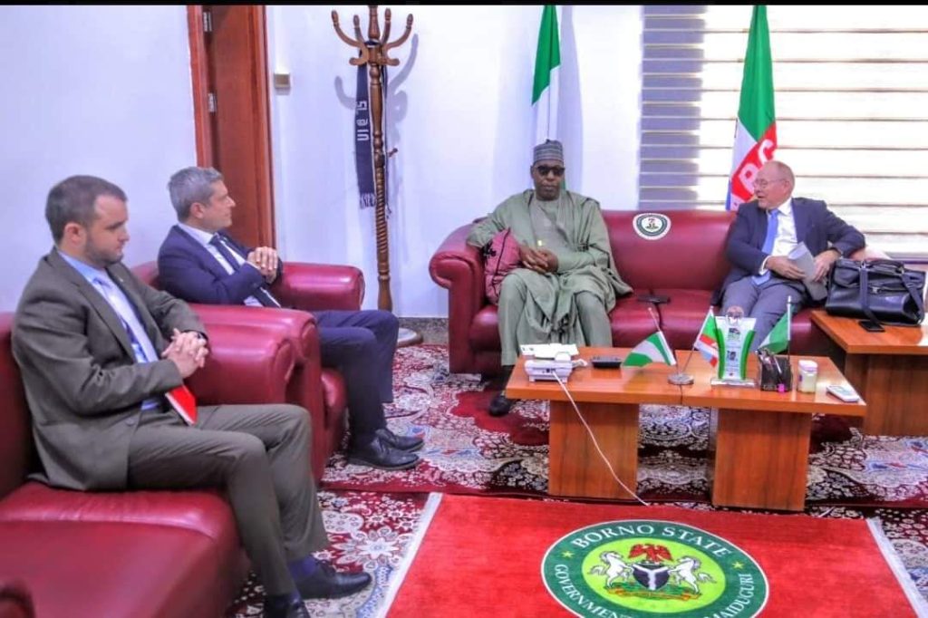 Flood: Swiss Govt Donates 1.2m Euros To Support Borno Victims 