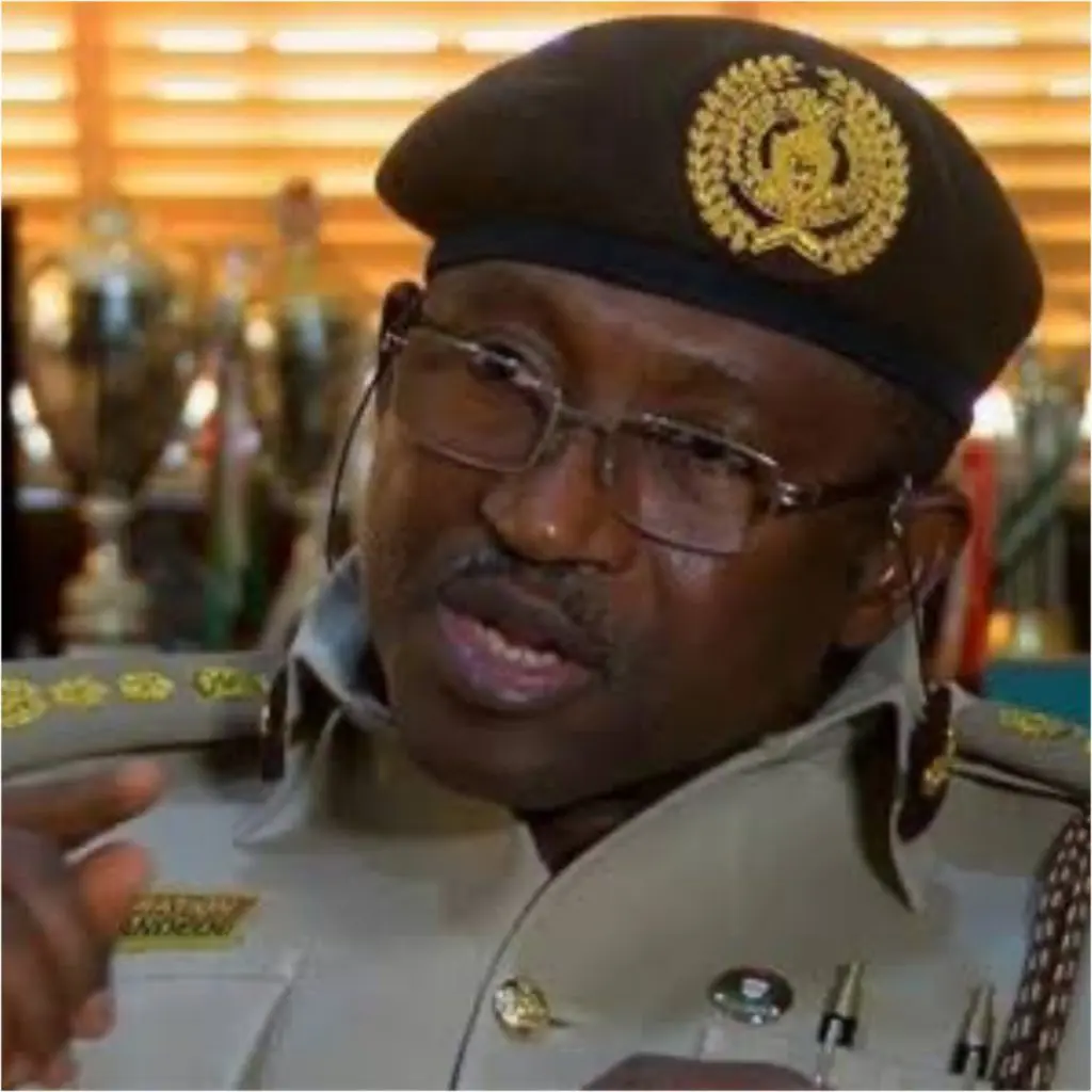 Nigeria Has 320 Unmanned Border Routes – Ex-immigration Boss Reveals 