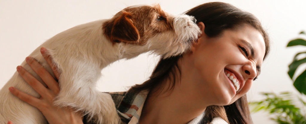 Owning A Dog Can Affect Your Health In A Variety Of Ways