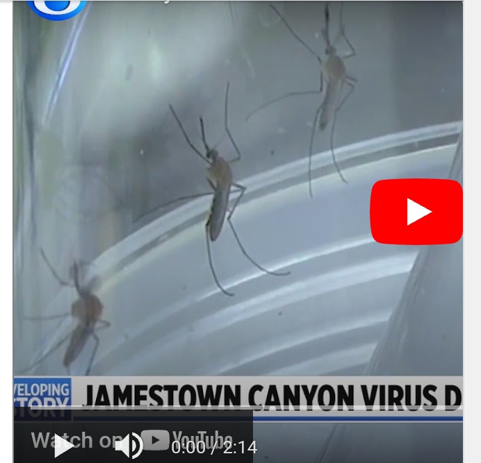 Deadly Virus Found In Kent County Mosquito During Routine Testing [Video]