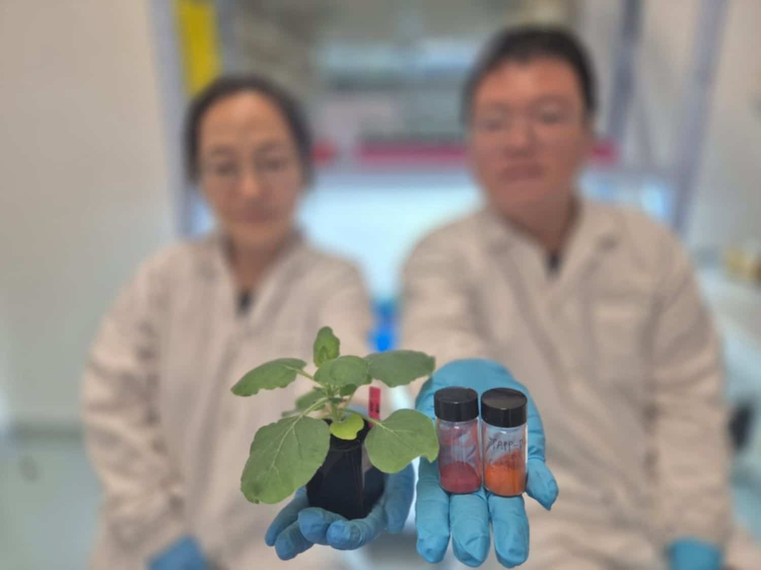 World’s First COF Sensors: Detecting Dehydration In Plants