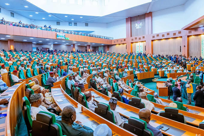 House of Reps Orders President Tinubu to Unfreeze NSIPA’s Accounts