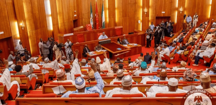 Nigerian Senate Passes MTEF/FSP For 2025-2027 – Voice of Nigeria