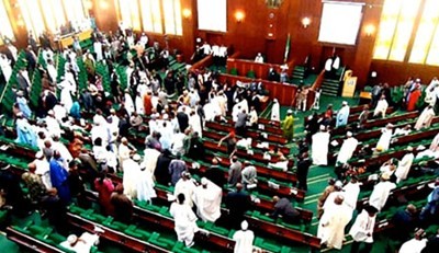 Reps committee recommends removal of NECO, 23 other MDAs from 2025 budget