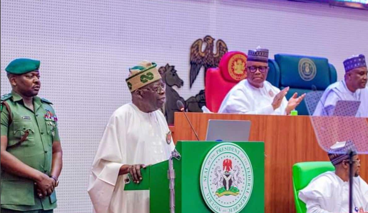 2025 budget: FEC orders final adjustments ahead of Tinubu’s presentation