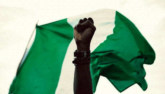 Nigeria needs a truly representative and accountable democracy