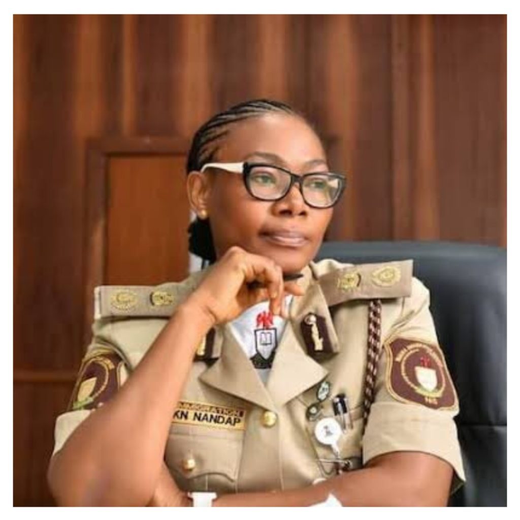 Tinubu Extends Immigration Boss, Nandap’S Tenure Till 2026 8 Mixcollage 20 Mar 2025 02 40 Pm 1245 1024X1024 1