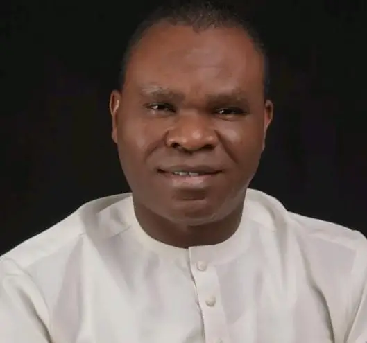 Call For Matawalle’s Removal: Tinubu Shouldn’t Sacrifice Competence, Loyalty, Security Gains - NDYC