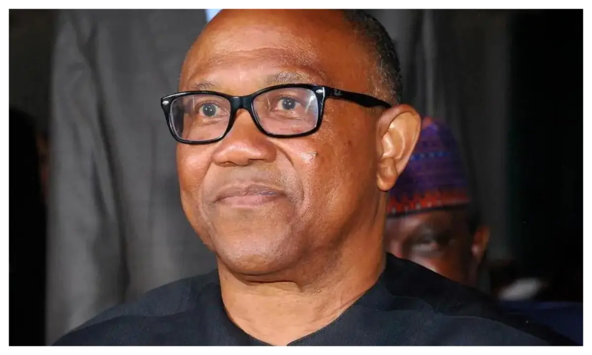Labour-party-Peter-Obi-1
