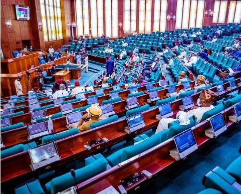 Reps Allege Alterations of Nigerian Tax Laws Passed by NASS House of Reps
