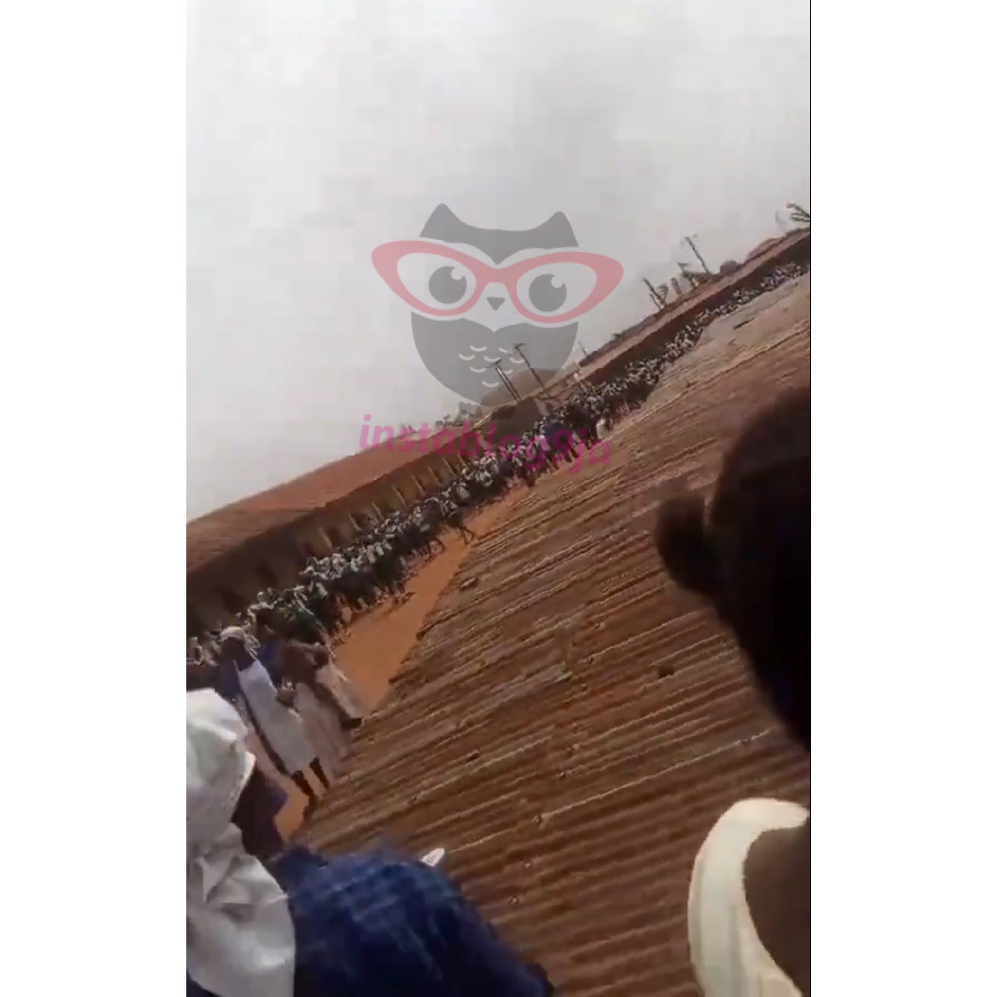 616239515 1337176848450686 9195752405715081516 n