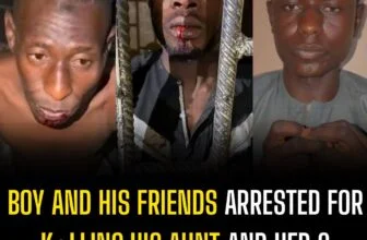 Boy and his friends arrested for k+lling his aunt and her 6 children in Kano