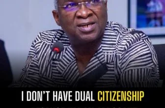 I don’t have dual citizenship because I’m an arrogant Nigerian — Fashola declare