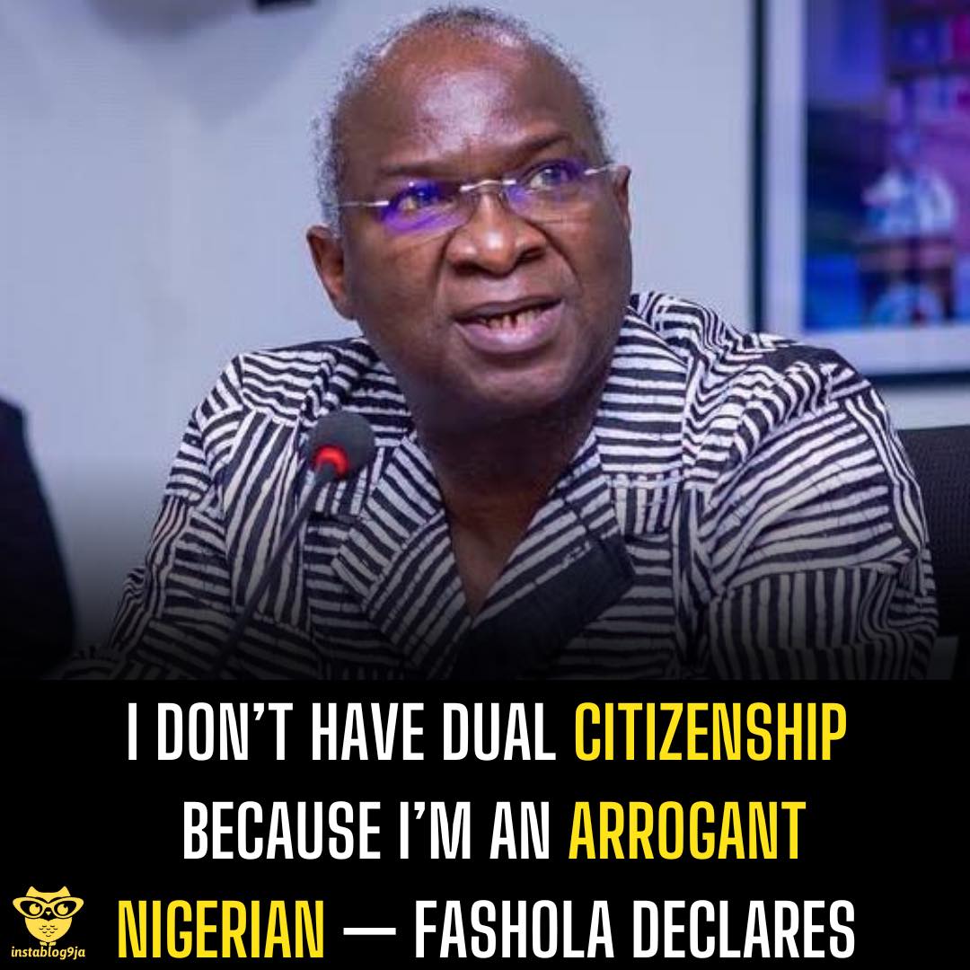 I don’t have dual citizenship because I’m an arrogant Nigerian — Fashola declare