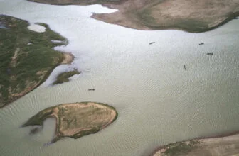 Mali: au moins 33 morts dans le naufrage d'une pirogue sur le fleuve Niger près de Tombouctou