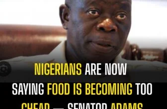 Some Nigerians are now saying food is becoming too cheap — Senator Adams Oshiomh