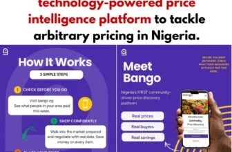 Two young Nigerians, Ademuyiwa Adebola and Caleb Adenegan, have founded Bango Ni