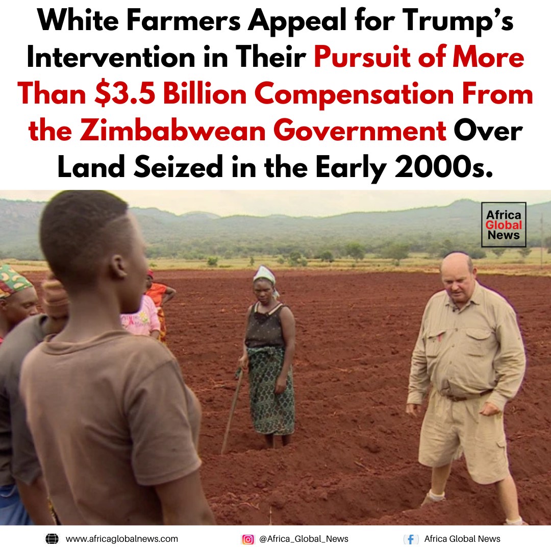 White farmers are appealing for intervention from Donald Trump 1 White farmers are appealing for intervention from Donald Trump as they seek more