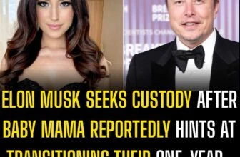 Elon Musk seeks custody after baby mama reportedly hints at transitioning their