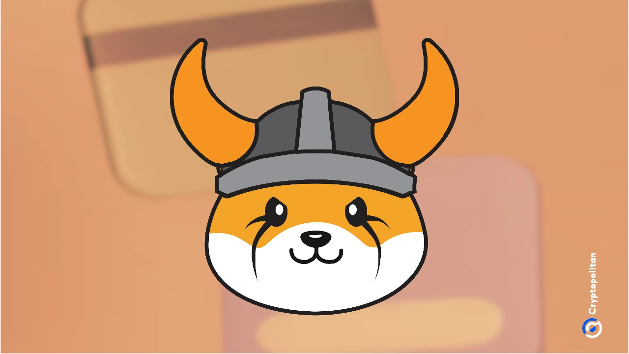 Graphic with Floki's logo