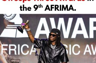 Rema had an unforgettable night at the 9th AFRIMA Awards, walking away with mult