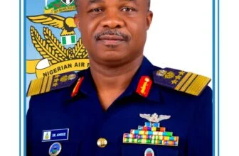 Air Power, Decisive Force Multiplier in Maritime Security Operations, Aneke Asserts – THISDAYLIVE
