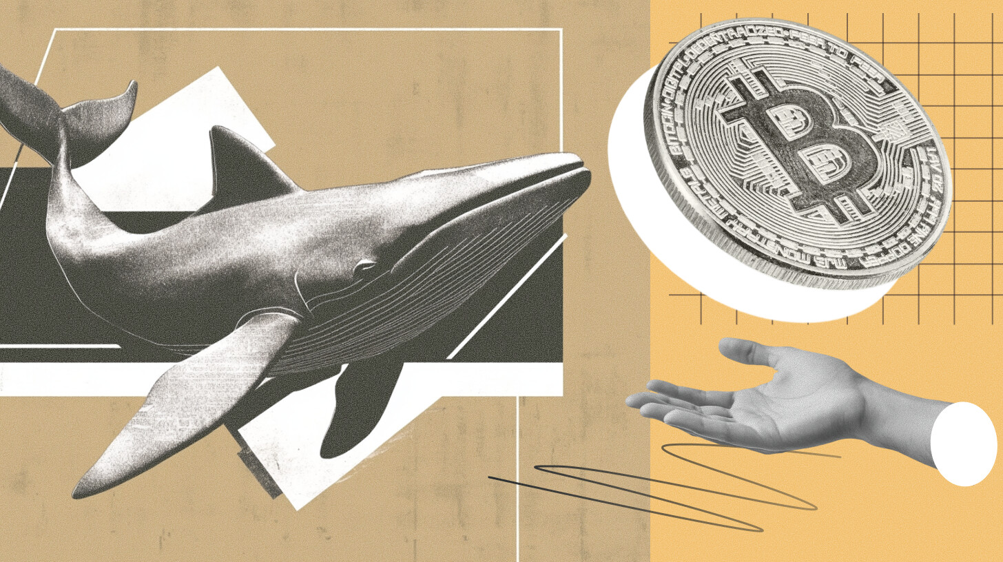 Bitcoin’s Heavy Drawdowns Are Changing How Investors Think About Crypto Exposure