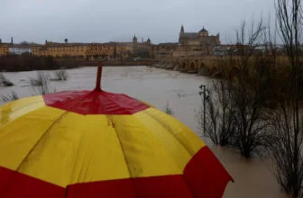 Farmers report 'catastrophic' crop damage as Storm Marta sweeps Spain and Portugal