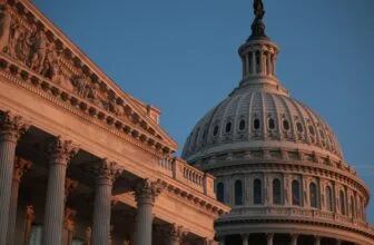 How America’s most partisan voters hold the most voting power : NPR