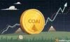 How COAI's price can rally by 45% after hitting THIS key resistance