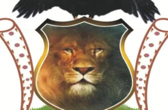 Igbo group launches ballot revolution campaign for effective political participation