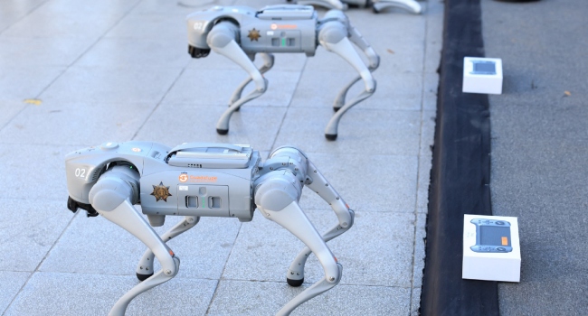 robot-dogs