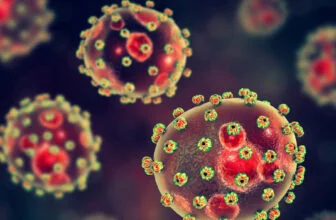 NCDC Confirms 165 Lassa Fever Cases, 31 Deaths In Five Weeks • Channels Television